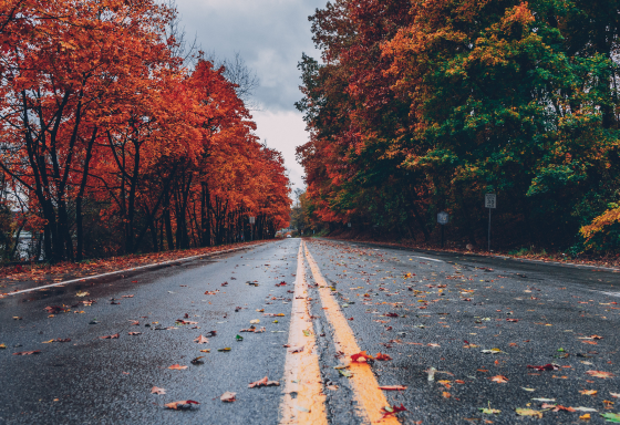 DRIVING IN AUTUMN: SAFETY TIPS FOR WET AND LEAF-COVERED ROADS