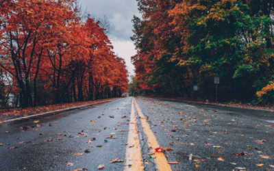 DRIVING IN AUTUMN: SAFETY TIPS FOR WET AND LEAF-COVERED ROADS