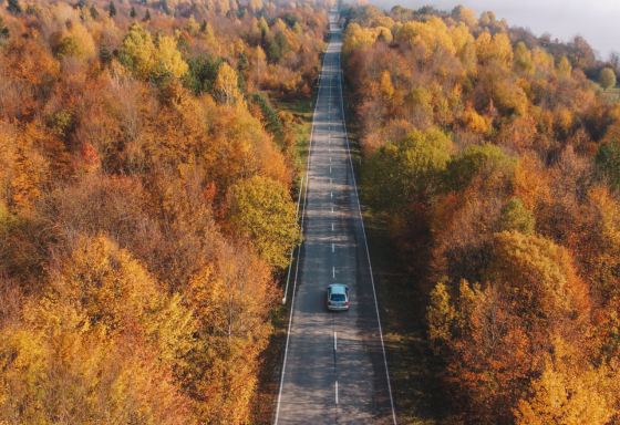 Fall Driving Risks in Ontario: What to Watch For as the Seasons Change